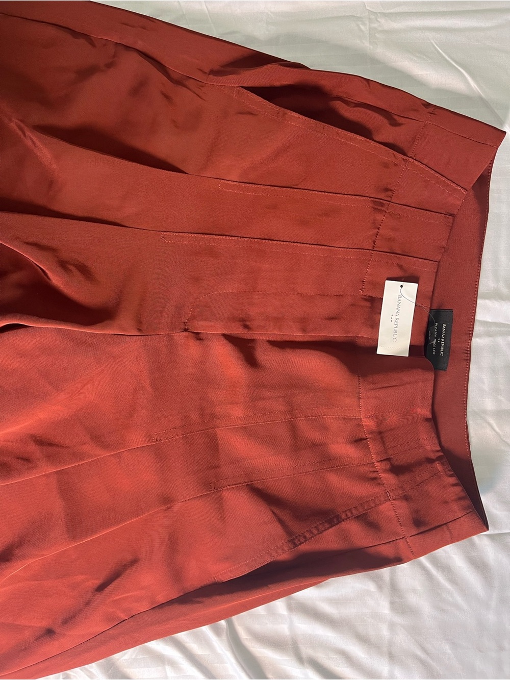 Terra Cotta Pleated trousers